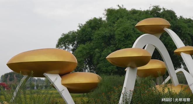 鄉村振興看這里:成都市郫都區德源稻蒜現代農業園區